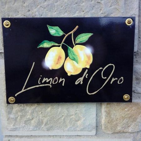 Willa Limon D'Oro Monte San Savino Zewnętrze zdjęcie